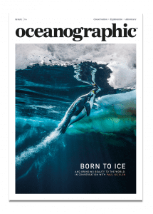 Issue 14 cover, Oceanographic Magazine, Paul Nicklen, penguin