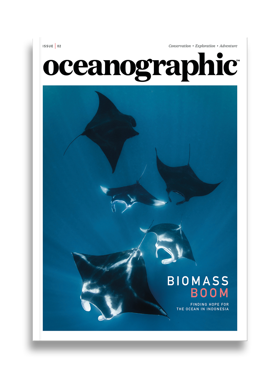 Oceanographic Magazine, Issue 02, Biomass boom