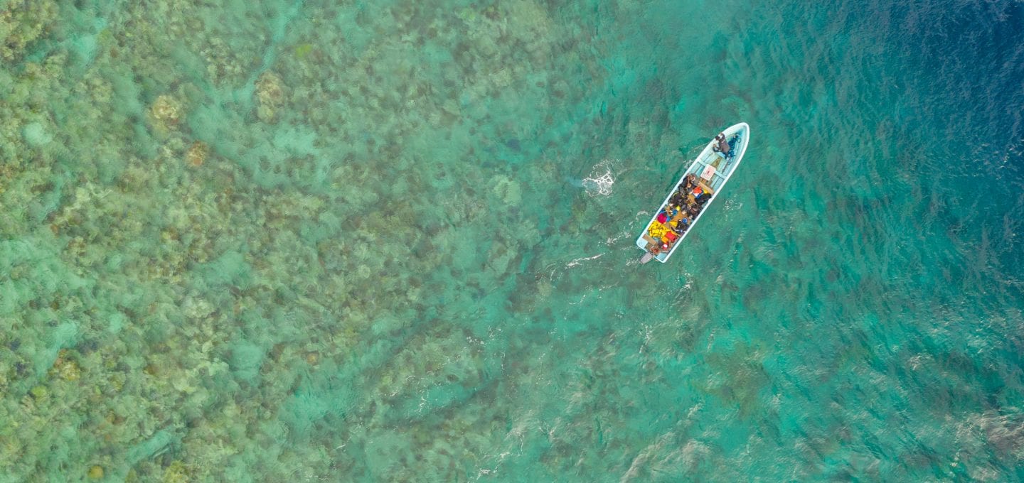 The Great Sea Reef Fiji WWF drone