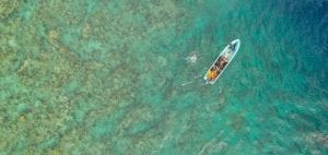 The Great Sea Reef Fiji WWF drone