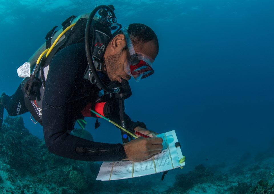 The Great Sea Reef Fiji WWF coral study
