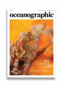 Oceanographic Magazine, Issue 15, Big little lives