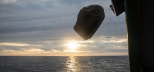 Greenpeace Dogger Bank MPA illegal trawling North Sea