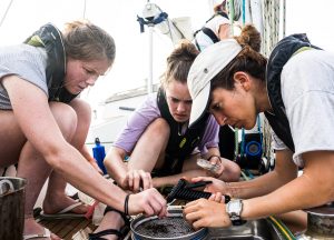eXXpedition ocean plastic pollution counting fragments