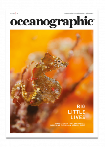 Oceanographic Magazine, Issue 15, cover, pygmy seahorses