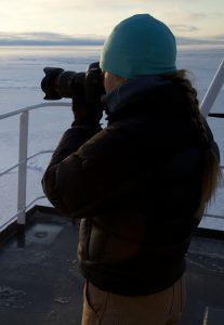 Physty sperm whale Dominica Gaelin Rosenwaks Arctic