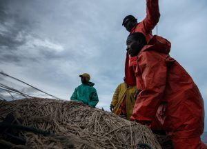 Shark fishing Republic of Congo TRAFFIC fishing