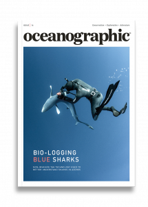 Oceanographic Magazine, Issue 16, Bio-logging blue sharks