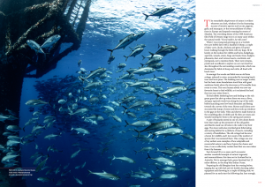 Issue 16, Oceanographic Magazine, Australia