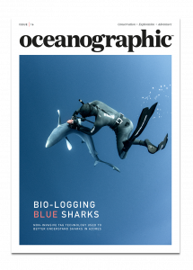 Issue 16, Oceanographic Magazine, blue sharks, Azores