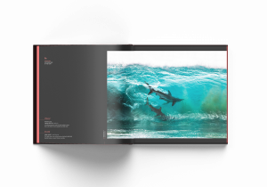 Surfing sharks, Australia, Sean Scott, Ocean Photography Awards