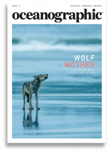 Oceanographic, Issue 17, Wolf mother