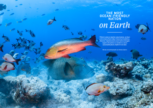 Palau, Oceanographic Magazine, Issue 17