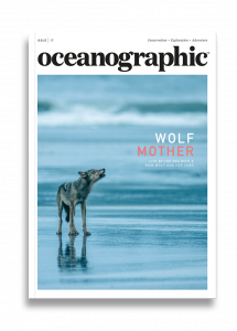 Oceanographic Magazine, Issue 17, Wolf mother