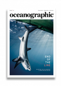 Issue 18, Oceanographic Magazine, Thresher Sharks, End of the line
