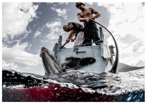 Issue 18, Oceanographic Magazine, Thresher sharks, Shawn Heinrichs, fishermen