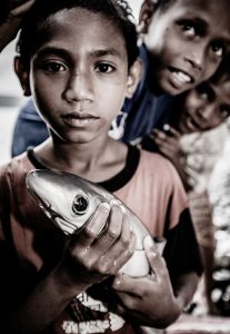 thresher shark indonesia alor