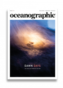 Issue 19, Oceanographic Magazine, Dawn Days
