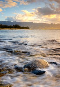 hawaii
