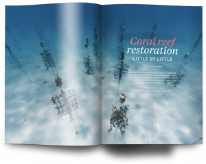 Issue 21, Oceanographic Magazine, Australia, coral restoration