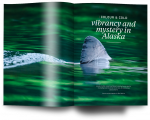 Issue 21, Oceanographic Magazine, Alaska, salmon sharks