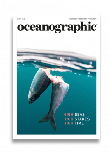 Oceanographic, Issue 23, High Seas