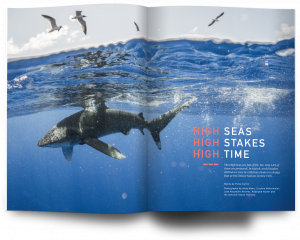 Oceanographic, Issue 23, High Seas, Andy Mann