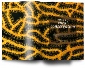 Coral community, Issue 23