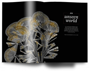 Plankton, Issue 23, Oceanographic Magazine