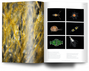 Plankton, Oceanographic Magazine