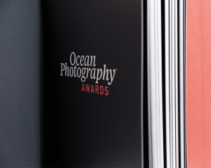 Ocean Photography Awards coffee table book, 2021, pages