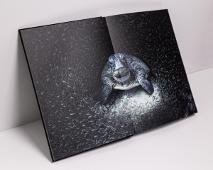 Ocean Photography Awards coffee table book, 2021, Aimee Jan, winner
