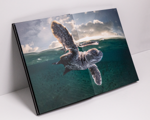Ocean Photography Awards coffee table book, 2021, Matty Smith