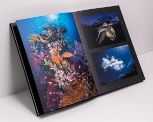 Ocean Photography Awards coffee table book, 2021, Renee Cappozola
