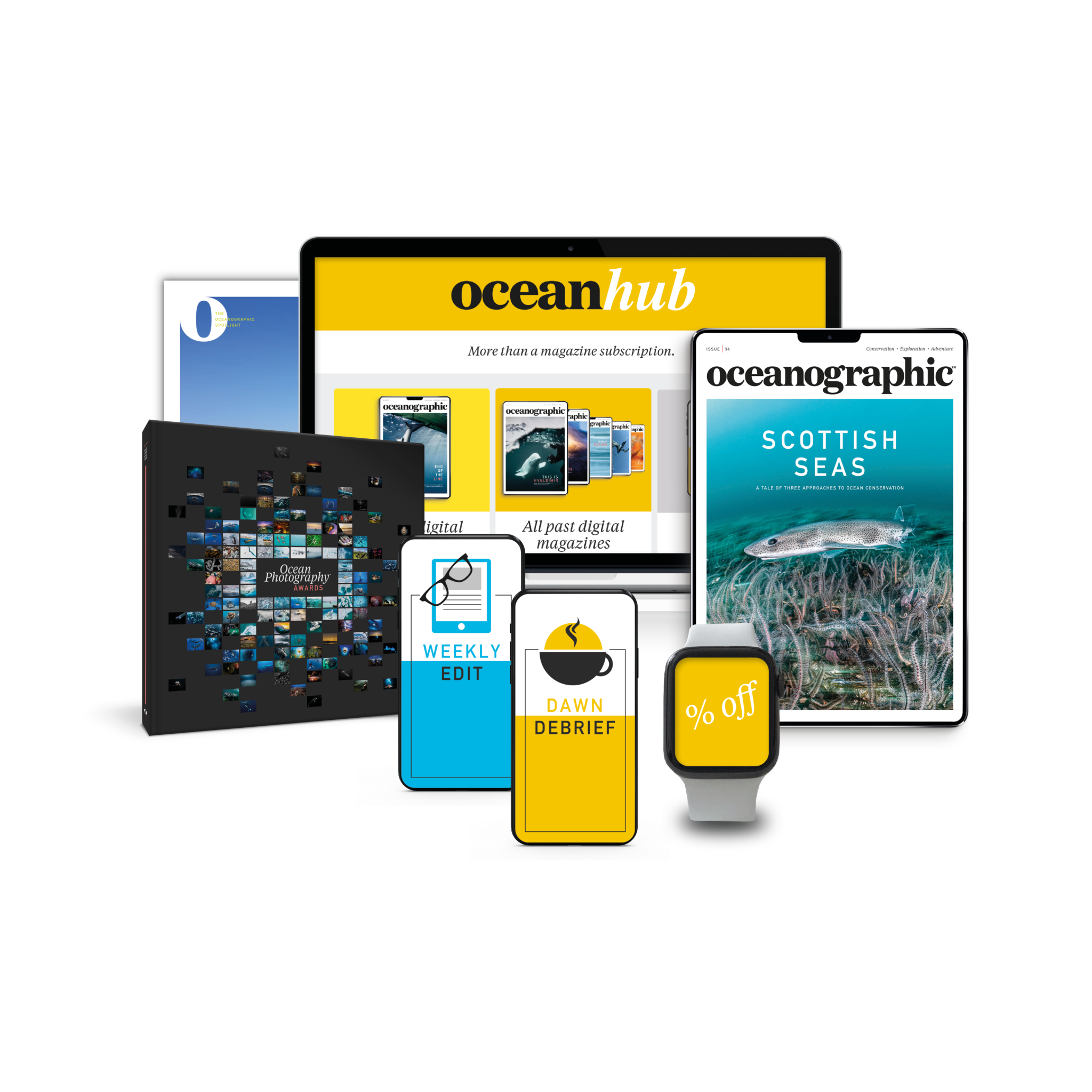 Into the depths Shark diving behaviour revealed Oceanographic