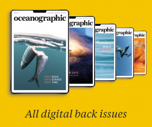 Printdigital whats included NEW back issues