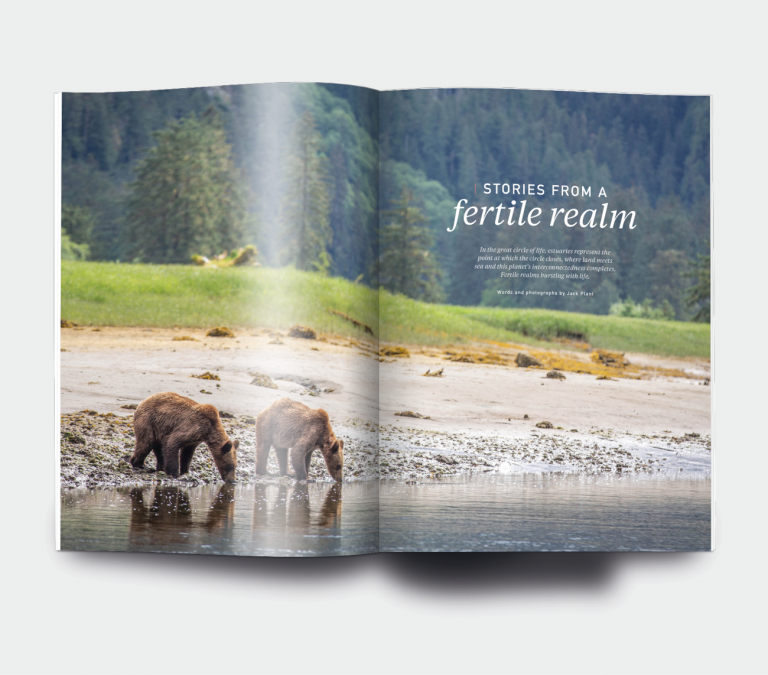 Mag_whatsinside_features_spread32