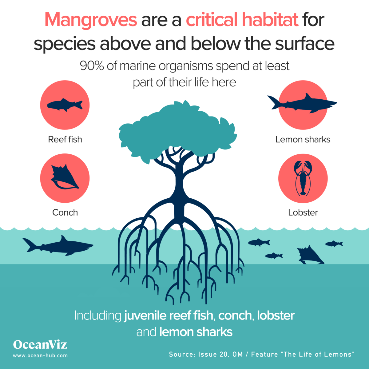 Mangroves are critical habitats