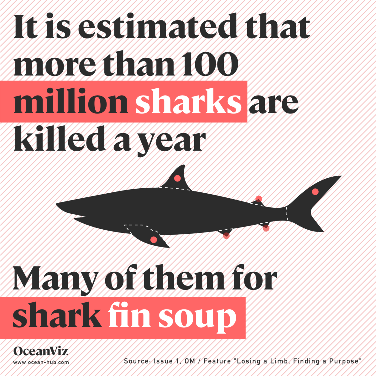 100 million sharks are killed a year