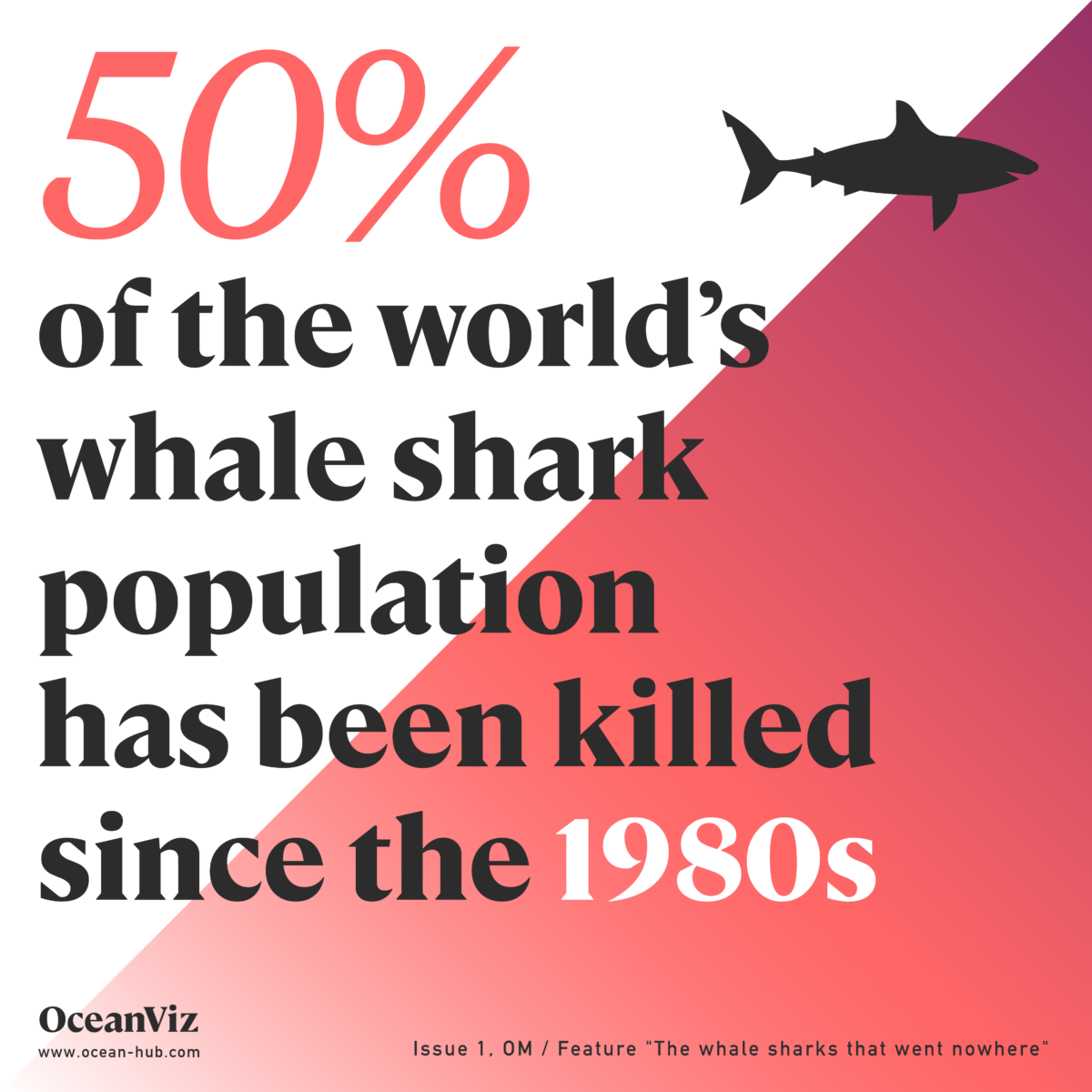 50% of the world´s whale sharks