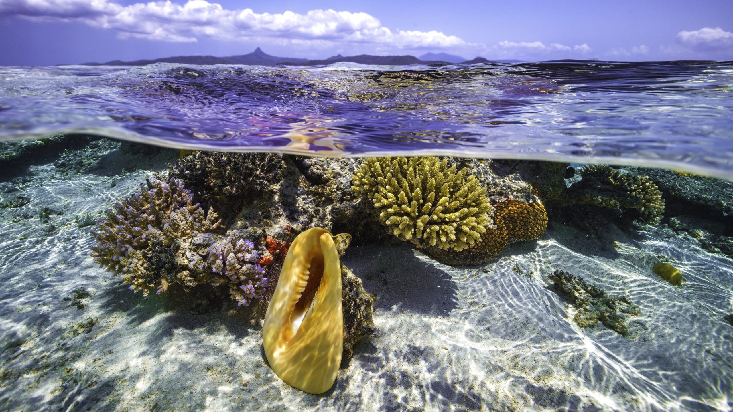 Бассейны мировых океанов. Море Майот. Лучшие снимки океана 2022. Лучшие фото океана 2022 года. Ocean Conservancy.