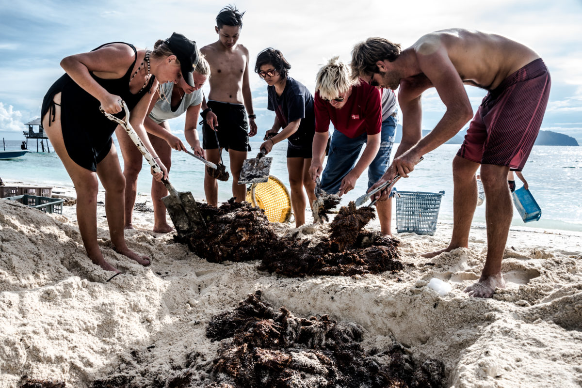 TRACC_COTS_Removal_Program4204 Oceanographic Oceanographic
