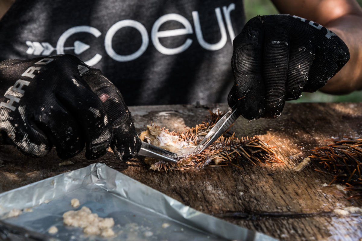 TRACC_COTS_Removal_Program3060 Oceanographic Oceanographic