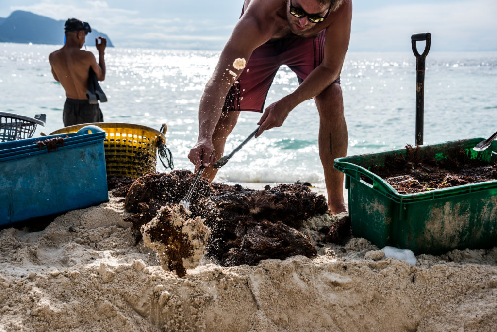 TRACC_COTS_Removal_Program4115 Oceanographic Oceanographic