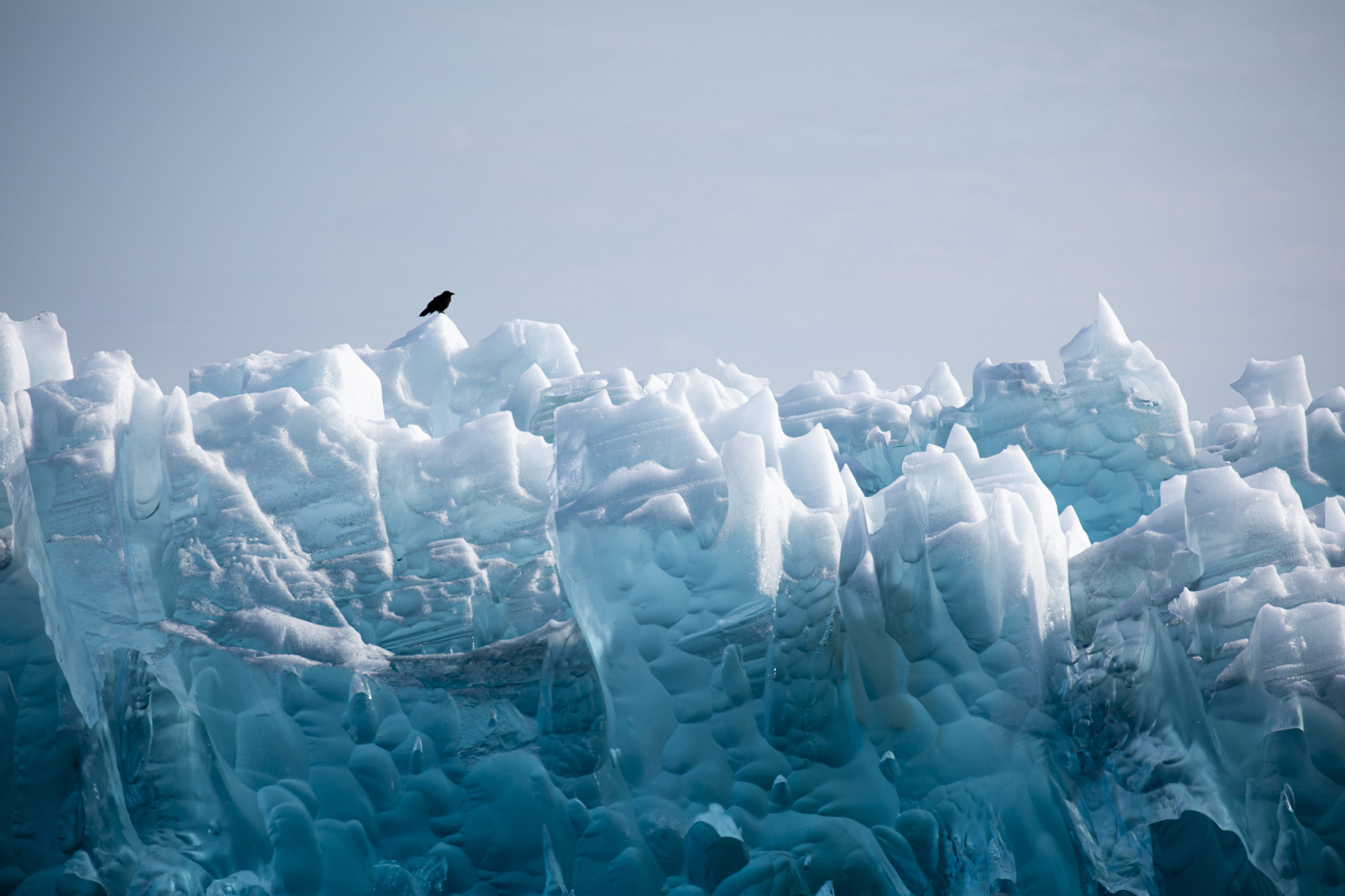 The Fragile Majesty Of The Labrador Sea Oceanographic Oceanographic   1 21 Scaled 