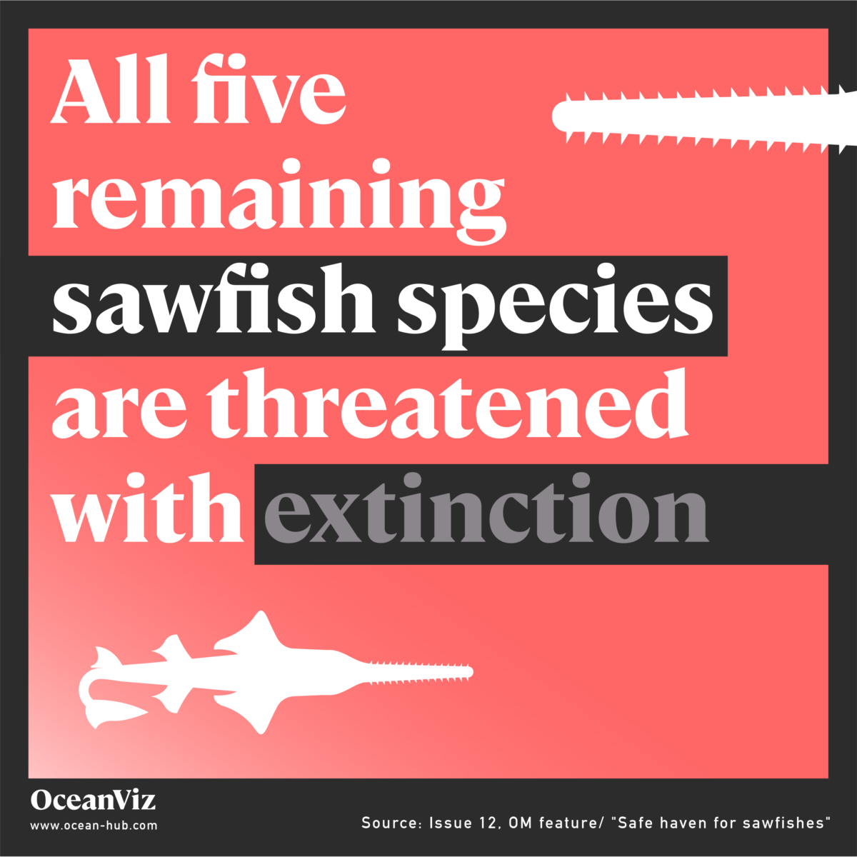 Sawfish extinction threat