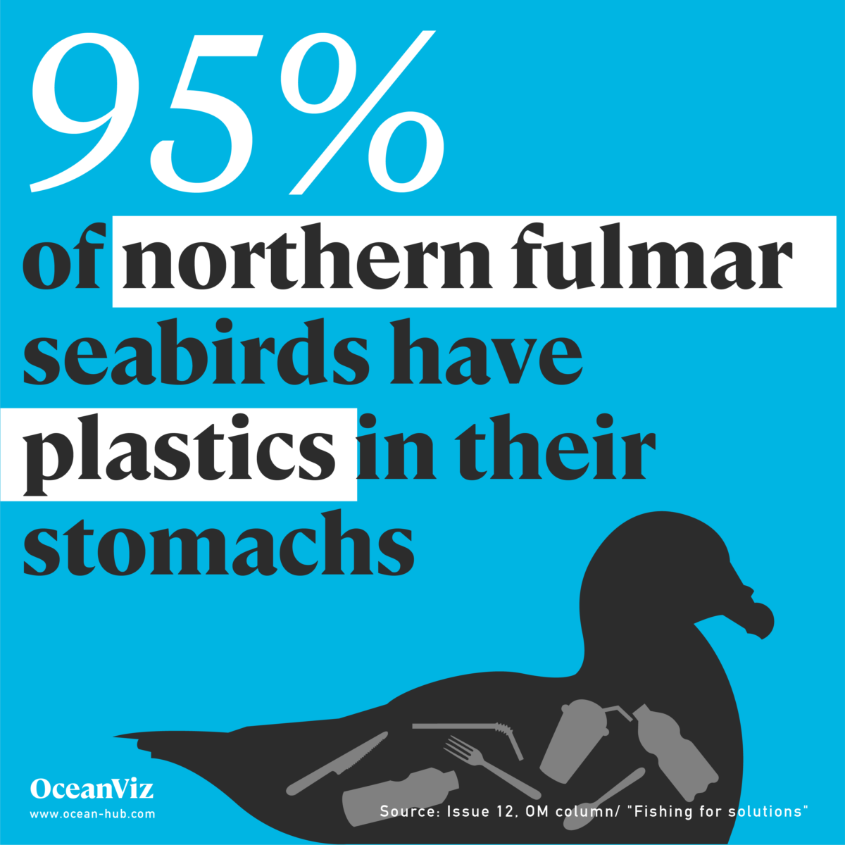 Northern fulmar plastics