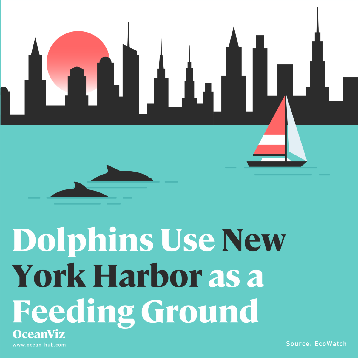 Dolphins in New York Harbor