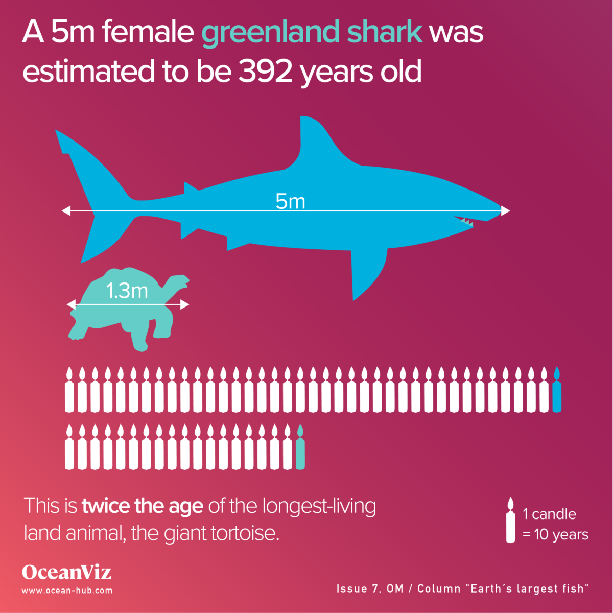 Female greenland shark age