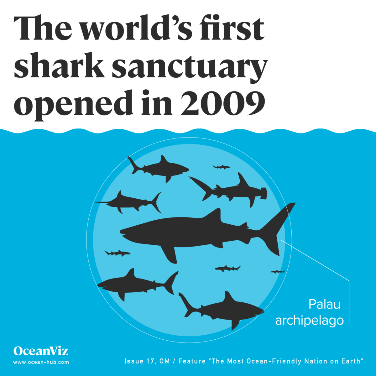 World´s first shark sanctuary